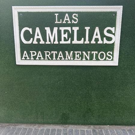Yumbo Appartamenti Las Camelias Playa Del Ingles 외부 사진